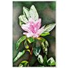 Image 2 : Hand Signed & Numbered 75/1000 Floral Print