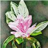 Image 3 : Hand Signed & Numbered 75/1000 Floral Print