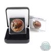 Image 1 : 2012 Canada $5 Wildlife Series Moose 1oz Fine Silver Colourized Coin in Special Display Box & COA (c
