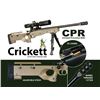 Image 1 : KEYSTONE SPORTING ARMS CRICKETT PRECISION RIFLE 22 LR