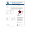 Image 2 : 1.60 CTW Ruby & Diamond Ring 10K White Gold - REF-36N4Y - 11296