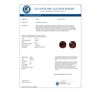 Image 3 : 12 CTW Cushion Cut Garnet Designer Solitaire Stud Earrings 14K Rose Gold - REF-35Y6K - 21782