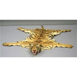 A tigers hide