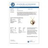 Image 2 : 1.12 CTW Ruby & Diamond Pendant 10K Yellow Gold - REF-20M8H - 13911