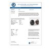 Image 3 : 18.0 CTW Oval Black Diamond Stud Designer Earrings 18K Rose Gold - REF-384H5A - 32336
