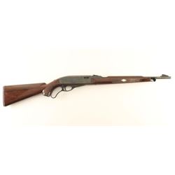 Remington Nylon 76 .22 LR NVSN