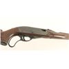Image 3 : Remington Nylon 76 .22 LR NVSN