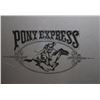 Image 4 : Large Pony Express Gun Safe