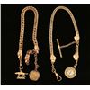 Image 1 : Lot of 2 Watch Fob Chains