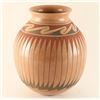 Image 1 : Mata Ortiz Polychrome Olla Pot