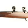 Image 5 : Ruger M77 Mark II .204 Ruger SN: 790-99706