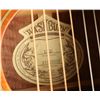Image 4 : Wasburn D20 Acoustic Guitar