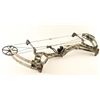 Image 2 : Bear Archery Compound Bow