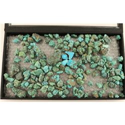 2 Pounds Sonoran Rough Turquoise