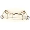 Image 1 : Bear Empire Compound Bow