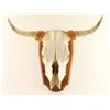 Image 2 : Bull Skull Mounted on Board