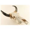 Image 2 : Bull Skull