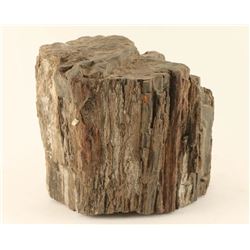 Petrified Wood