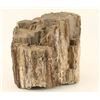 Image 2 : Petrified Wood