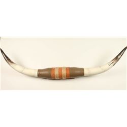 Mounted Steer Horns