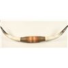 Image 1 : Mounted Steer Horns
