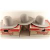 Image 1 : Lot of 3 Bailey Hats