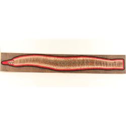 Snakeskin Mounted on Board