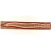 Image 1 : Snakeskin Mounted on Board