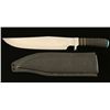 Image 1 : Large Bowie Knife