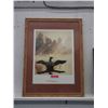 Image 1 : Framed Ron Parker Loon Print