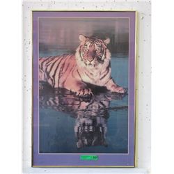 Framed Tiger Poster