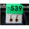 Image 1 : 10 KT Gold and Garnet Earrings
