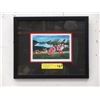 Image 1 : Richard Shorty Framed Print - "Book Mountain-Fox"