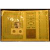 Image 1 : "Steril Manufacturing Company" Preferred Stock Certificate with coupons, This company made the tent 