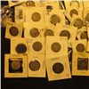 Image 2 : (40) Carded Liberty Nickels dating 1901-1905 with grades up to VF.