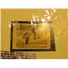 Image 2 : 1573 . 1972 RW39 U.S. Department of the Interior Federal Migratory Waterfowl Stamp. Unused, not sign