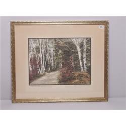 After Wallace Nutting Tinted Photo