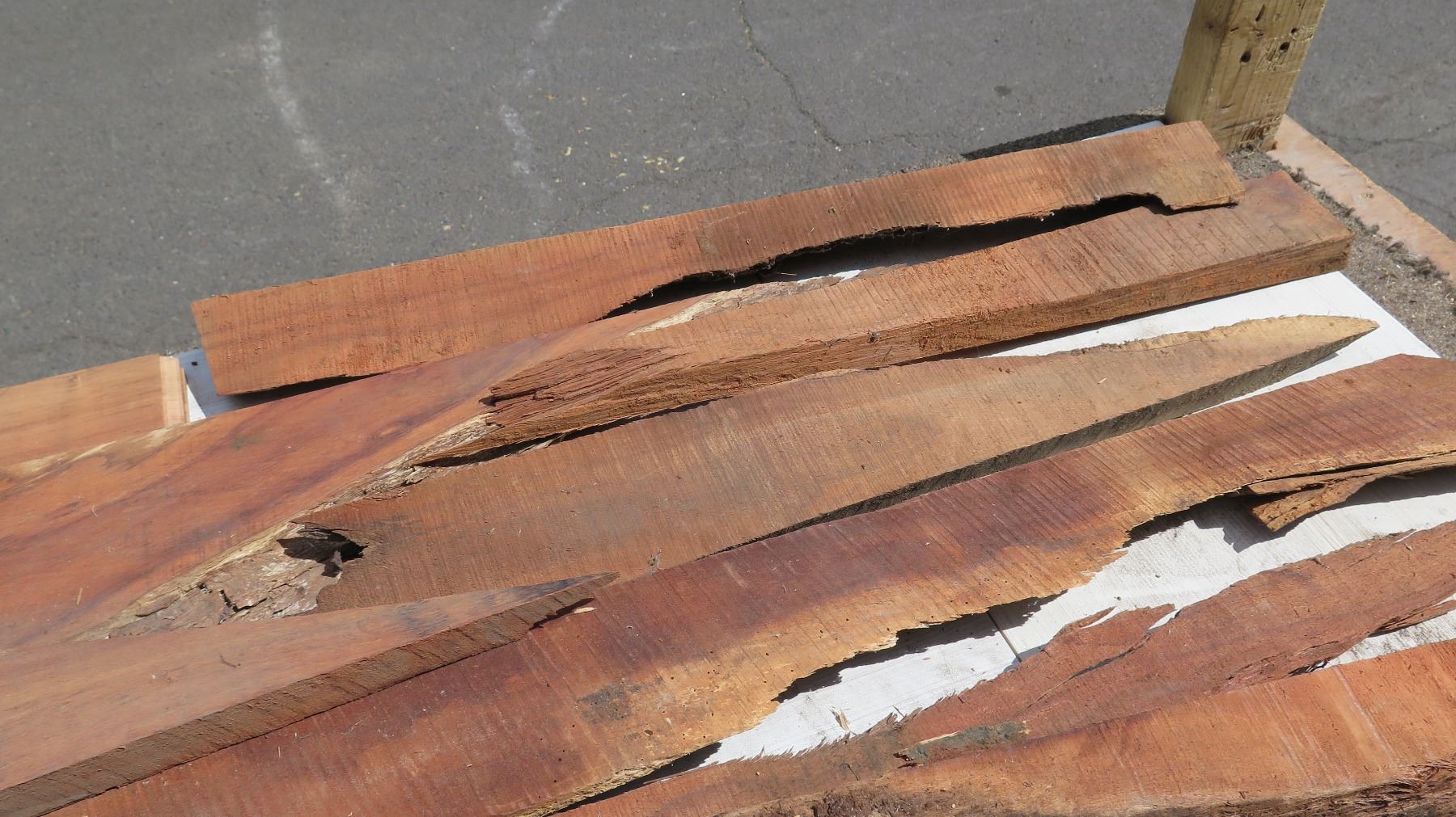 Unfinished Koa Wood W Bark Various Lengths unfinished-koa-wood-w-bark-various-lengths