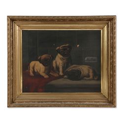 Pugs For Sale (19th Century), Canadian
