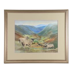 Kurp, Daisy (1924-2016), Canadian