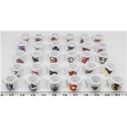 NHL COLLECTION OF MINI CUPS - 30 TEAMS.