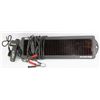 Image 1 : SOLAR PANEL TRICKLE CHARGER WITH CELLULAR FM