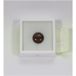 5) GENUINE CANADIAN AMMOLITE GEMSTONE