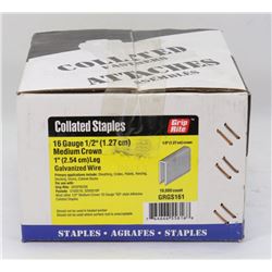 CASE OF 16 GAUGE 1/2" MEDIUM CROWN 1" LEG