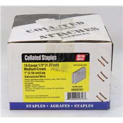 CASE O16 GAUGE 1/2" MEDIUM CROWN 1" LEG