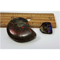 20 - AMMONITE FOSSIL SPECIMEN