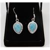 Image 1 : #51-CARRIBEAN LARIMAR GEMSTONE EARRING