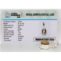 #30-NATURAL CAT'S EYE GEMSTONE  PENDANT