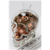 Image 1 : GLASS SKULL FULL OF PENNIES