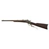 Image 2 : Rolling Block Rifle .46 RF Eli Whitney Arms Co
